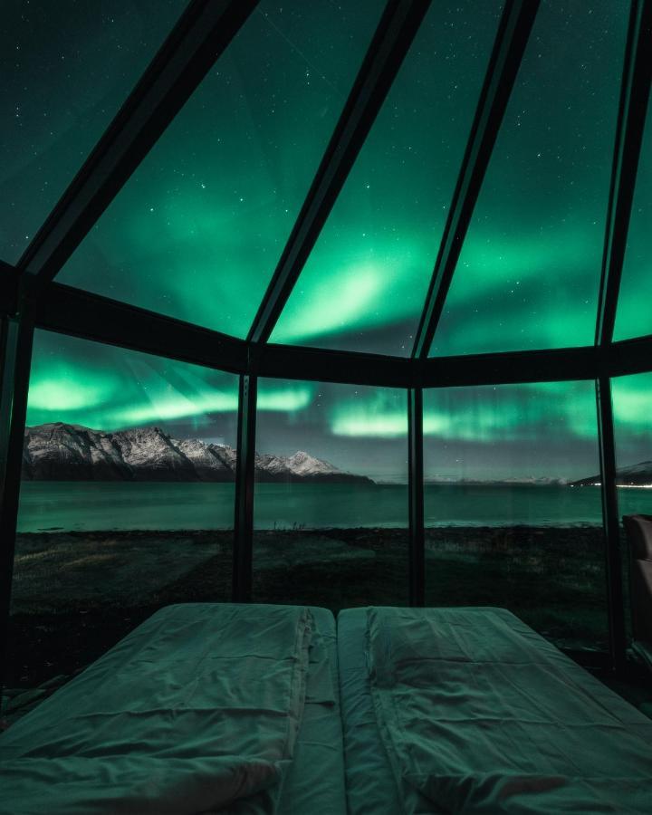 فيلا Lyngen North Rotsund المظهر الخارجي الصورة